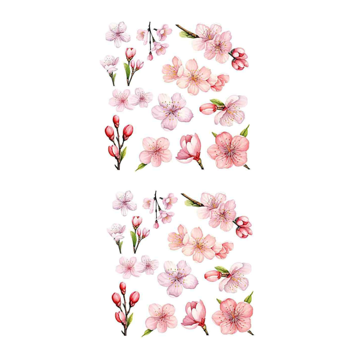 copy of 